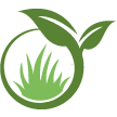 Palmetto Lawn Clean Up