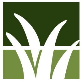 Palmetto Lawn Clean Up