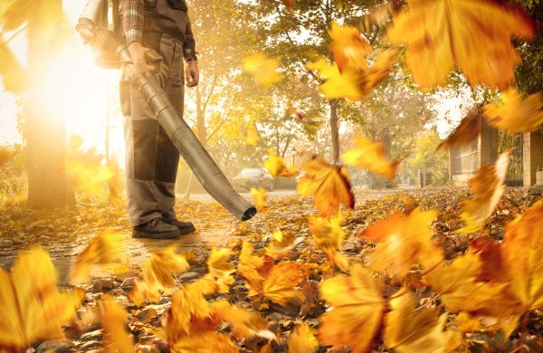 Leaf Blowing Service in Palmetto