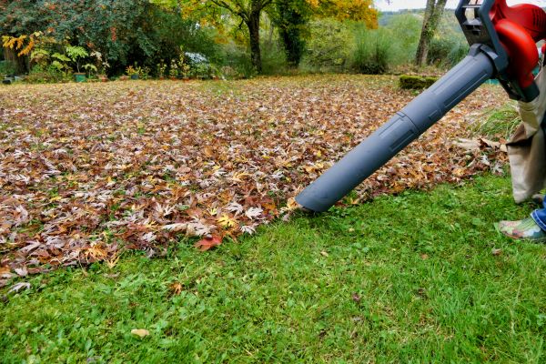 Leaf Vacuuming Service in Palmetto