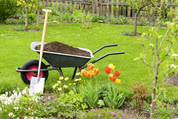 Spring Yard Cleanup in Palmetto