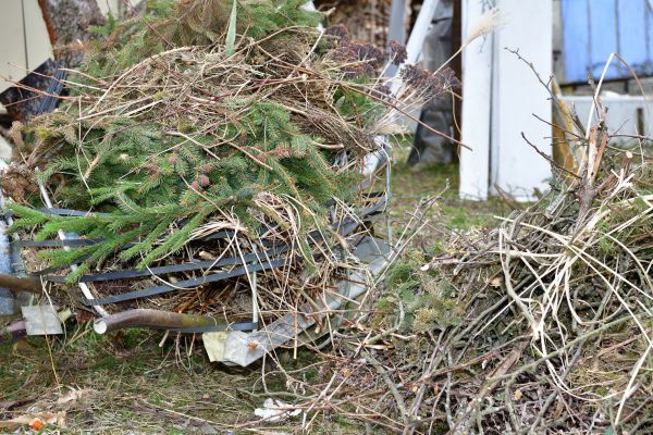 Yard Waste Removal Service in Palmetto