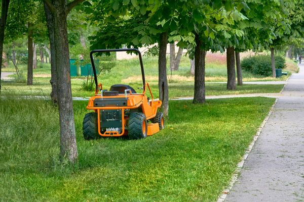 Landscaping Cleanup Service in Palmetto