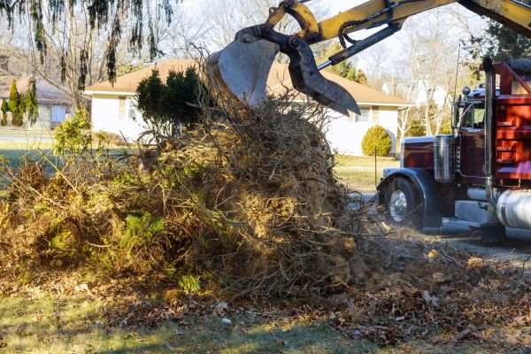 Storm Debris Removal in Palmetto
