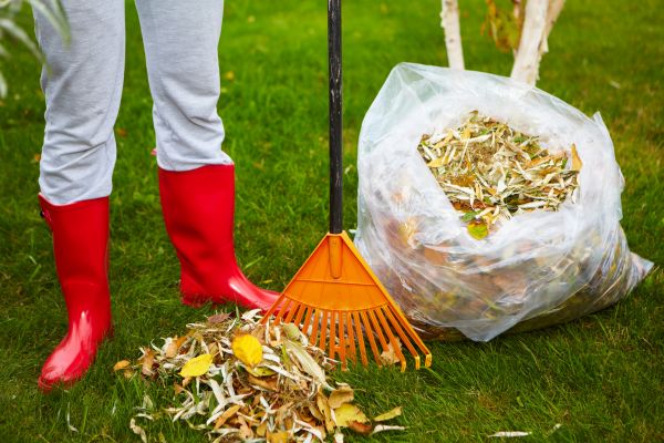 Leaf Disposal Service in Palmetto