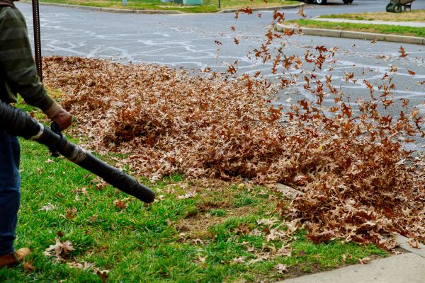 Garden Leaf Removal in Palmetto