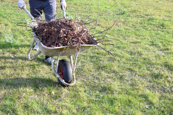 Yard Brush Removal in Palmetto