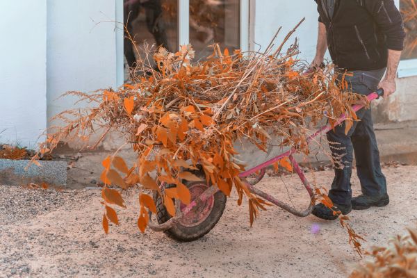 Lawn Debris Cleanup in Palmetto