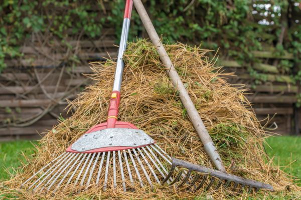 Pine Straw Clearing in Palmetto