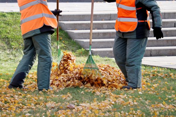 Leaf Hauling Service in Palmetto