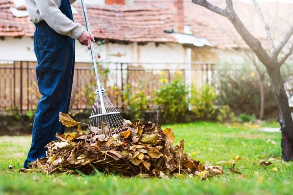 Spring Lawn Cleanup in Palmetto