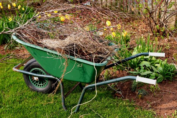 Lawn Waste Removal in Palmetto