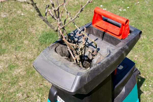 Brush Cleanup Service in Palmetto