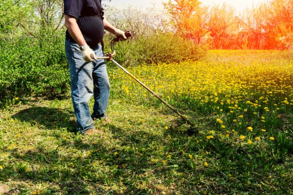 Yard Clearing Service in Palmetto