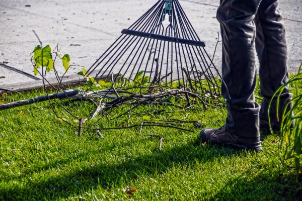Yard Debris Cleanup in Palmetto