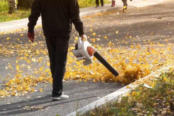 Commercial Leaf Removal in Palmetto