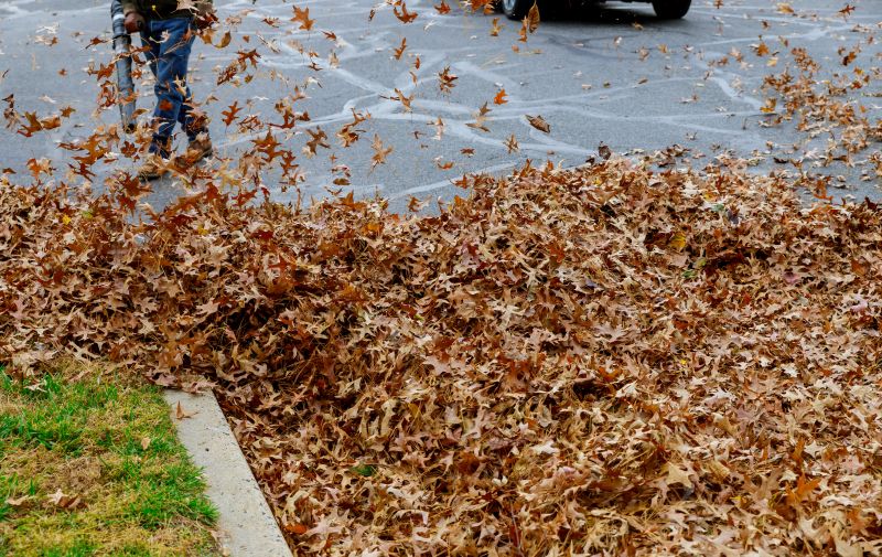 Professional Leaf Removal Image 4