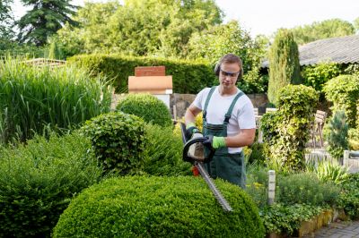 Specialized Tree and Shrub Services