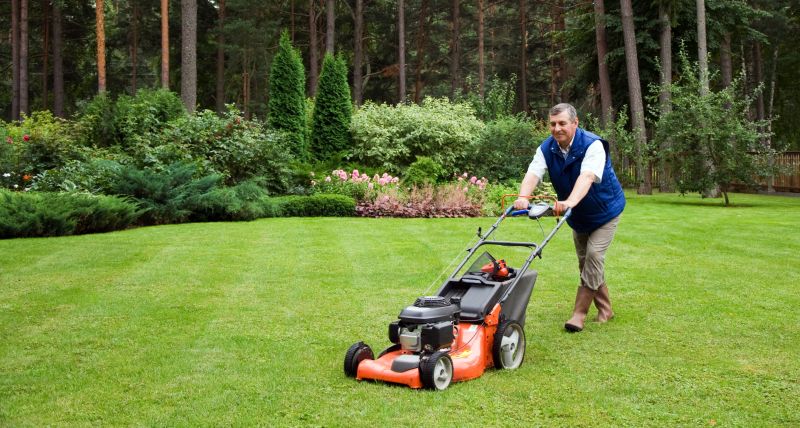 Seasonal Lawn Care Experts